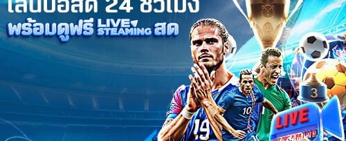 โปรโมชั่น VIP ระดับพรีเมียม promotion image